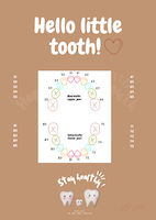 Zahnstatus zum Download im PDF-Format